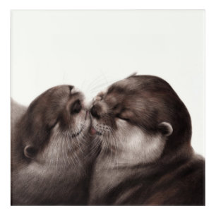 Hand Painted Realistic Wildlife Artwork Acrylic Print