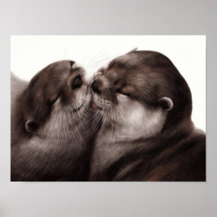 Hand Painted Realistic Wildlife Artwork Poster