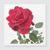 Hand Painted Red Rose Botanical Magnetic Card (Front)