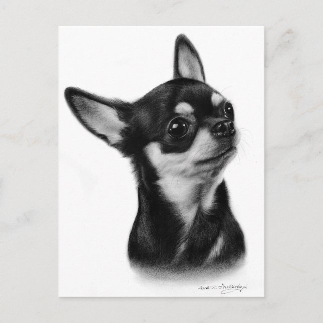 Hand Painted Short Haired Chihuahua Dog Artwork Postcard (Front)