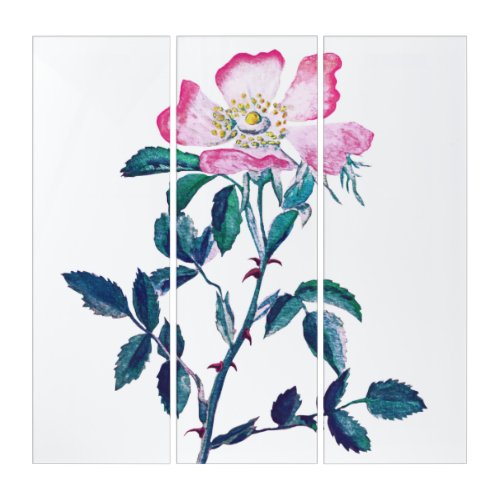 Hand painted Watercolor Wild Rose Flower Triptych