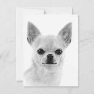 Hand painted White Chihuahua Artwork Postcard