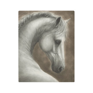 Hand Painted White Horse Portrait Metal Print