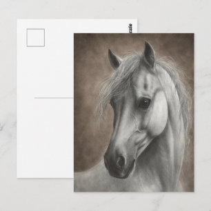 Hand Painted White Horse Portrait Postcard