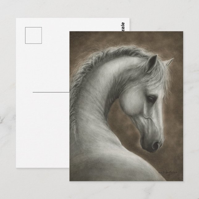 Hand Painted White Horse Portrait Postcard (Front/Back)