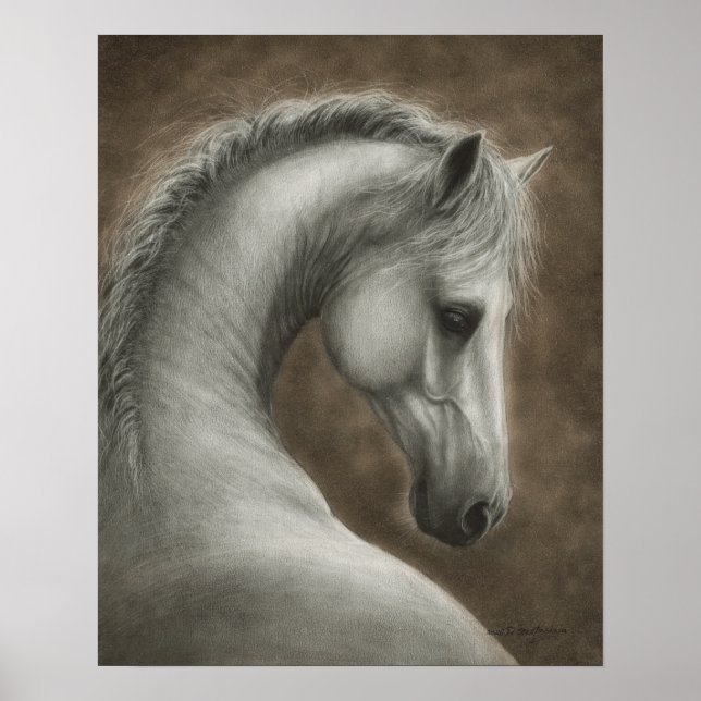 Hand Painted White Horse Portrait Poster (Front)