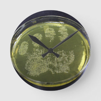 Hand Petri Dish Bacteria Round Clock