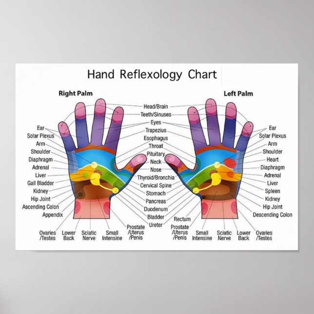 Hand Reflexology 14x10" Poster (Front)