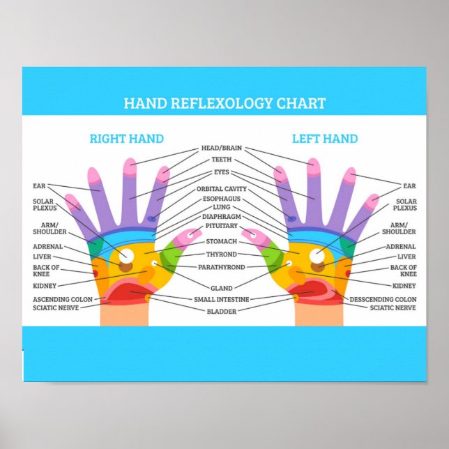 Hand Reflexology 14x11" Poster (Front)
