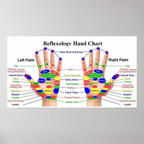 Hand Reflexology  22x12 Poster