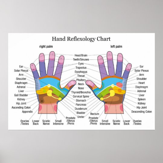 Hand Reflexology 36x24