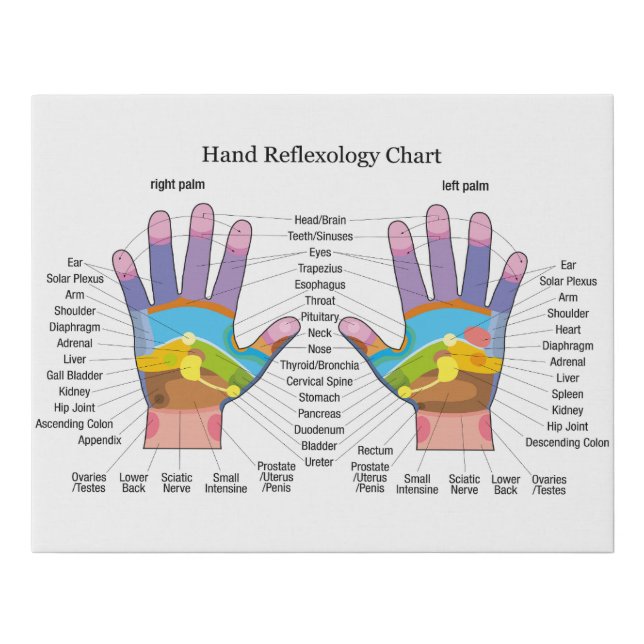 Hand reflexology Chart Faux Canvas Print (Front)