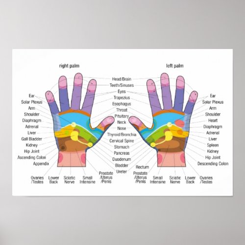Hand Reflexology Chart Poster