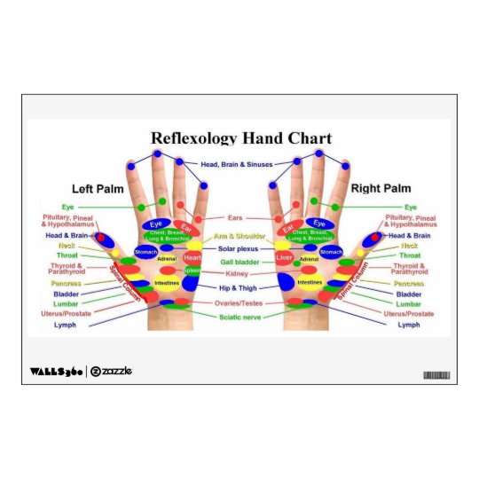 Hand Reflexology Chart Wall Decal | Zazzle.com