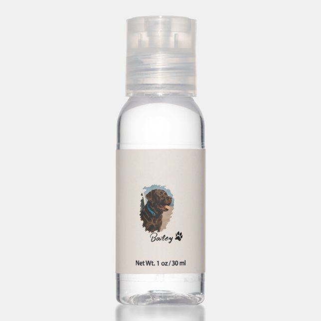 Hand Sanitizer Bottle | Pump & Spray Design (Front)