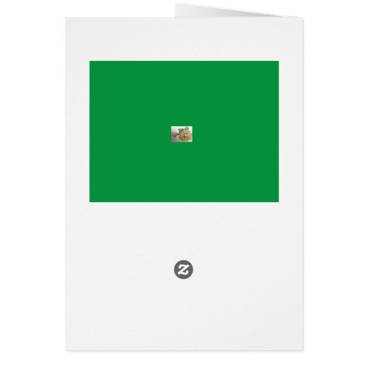 Hand Tied Bouquet (Back)