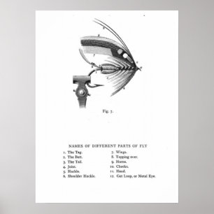 hand tied fishing fly poster