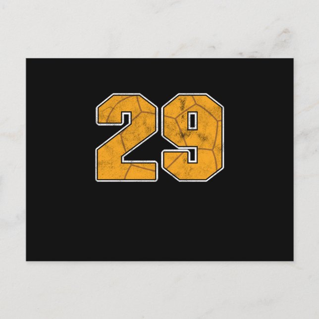 Handball 29 th Birthday Celebration Sports Gift Postcard (Front)