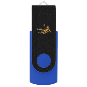 Handball is my sport flash drive