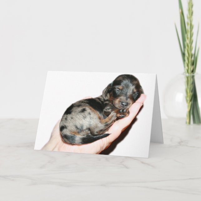 Handful Card (Front)