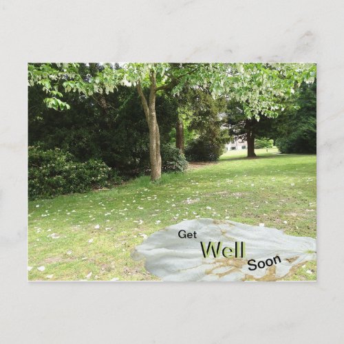 Handkerchief Tree Get Well Soon Postcard