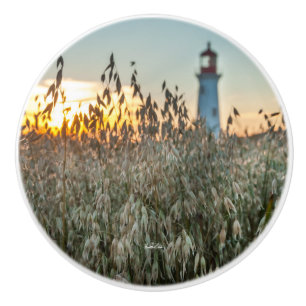 handle of door, photograph of a headlight in ceramic knob