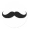 Handlebar Moustache / Mustache