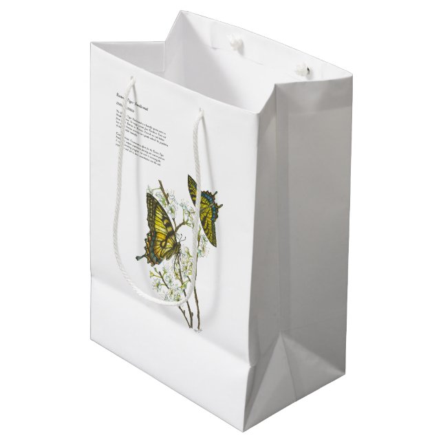 Handpainted butterfly gift bag (Front Angled)