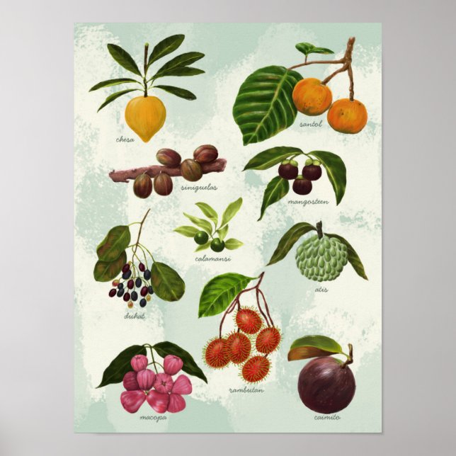 Handpainted Exotic Filipino Tropical Fruits Poster (Front)