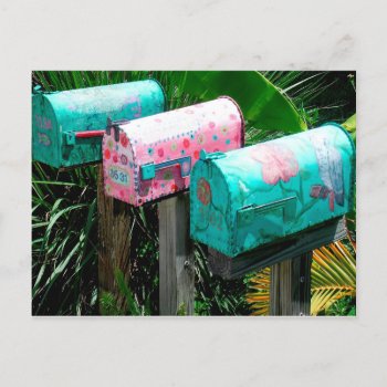 Handpainted Mailboxes In Florida Postcard by SayWhatYouLike at Zazzle