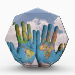 Hands World Globe Octagonal Award<br><div class="desc">Hands World Globe Octagonal Award</div>