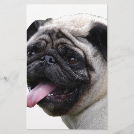 Handsom white Pug photo accessories, add names (Front)