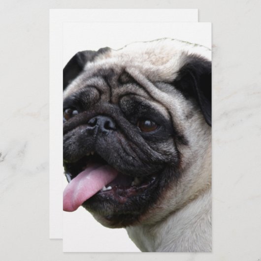 Handsom white Pug photo accessories, add names (Front/Back)