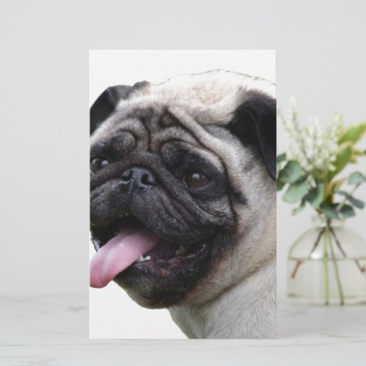 Handsom white Pug photo accessories, add names (Standing Front)