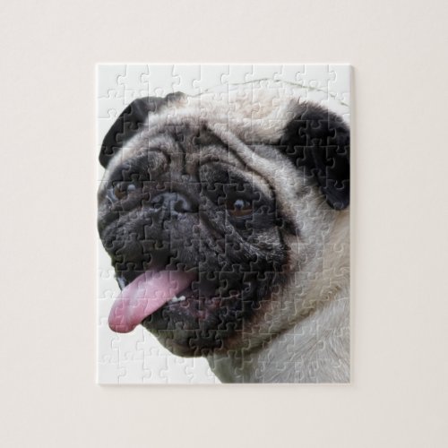 Handsom white Pug photo accessories add names Jigsaw Puzzle