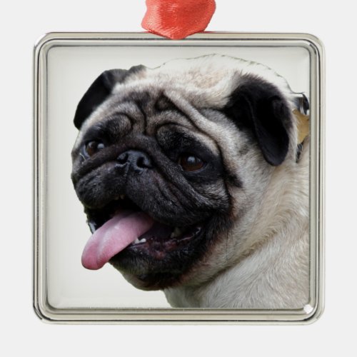 Handsom white Pug photo accessories add names Metal Ornament