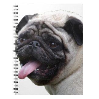 Handsom white Pug photo accessories, add names Notebook