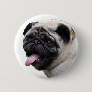 Handsom white Pug photo accessories, add names Pinback Button