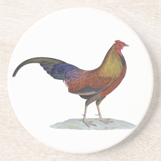 Handsome Alert Rooster Drink Coaster (Front)