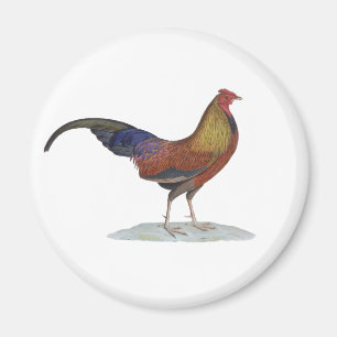 Handsome Alert Rooster Magnet