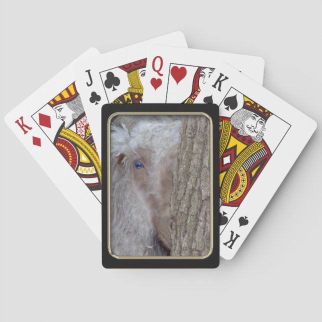 Handsome Angora Goat Playing Poker Cards (Back)