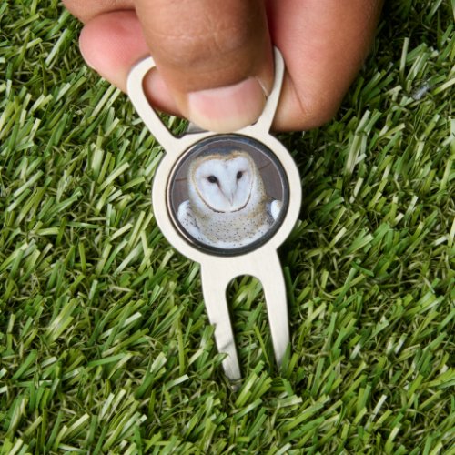 Handsome Barn Owl Photo Divot Tool