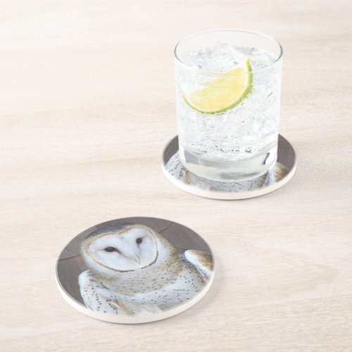 Handsome Barn Owl Photo Sandstone Coaster