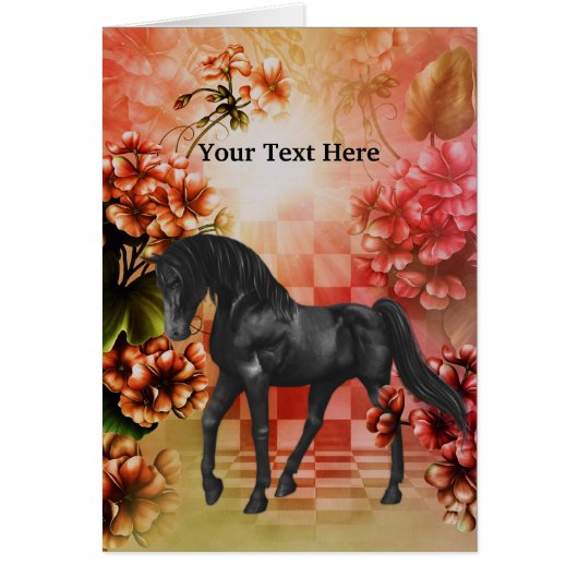 Handsome Black Fantasy Horse Photo (Front)