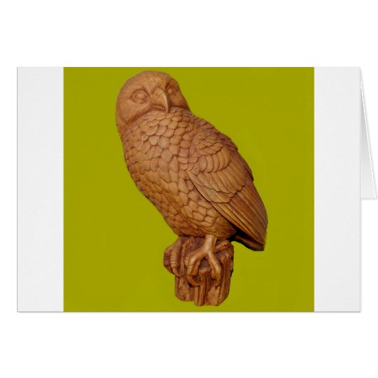 handsome brown owl (Front Horizontal)