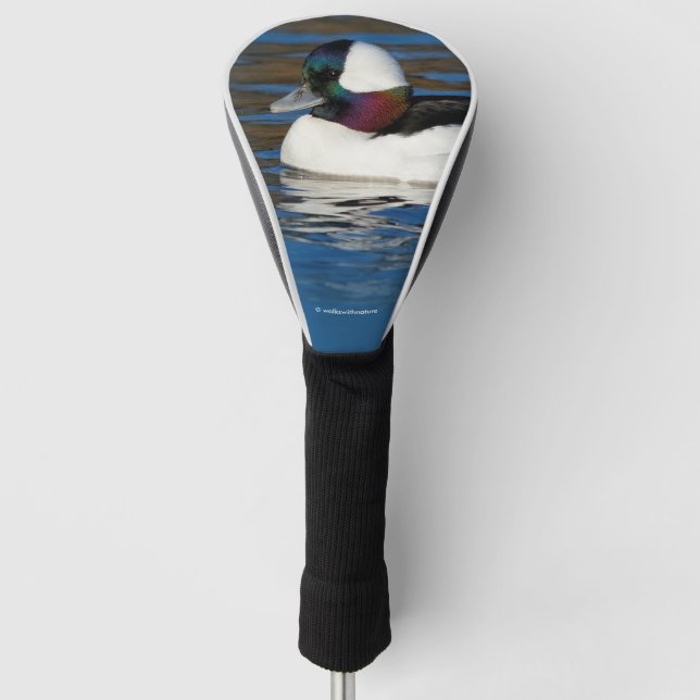 Handsome Bufflehead Duck at the Winter Pond Golf Head Cover (Front)