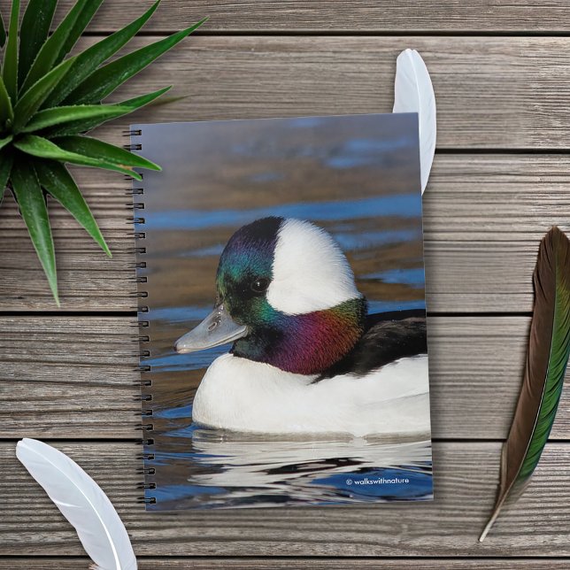 Handsome Bufflehead Duck at the Winter Pond Notebook (Handsome Bufflehead Duck in the Pond Journal Cover Photo)