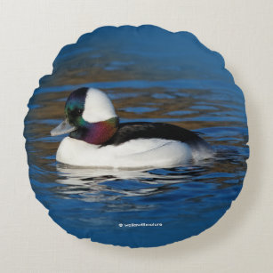 Handsome Bufflehead Duck at the Winter Pond Round Pillow