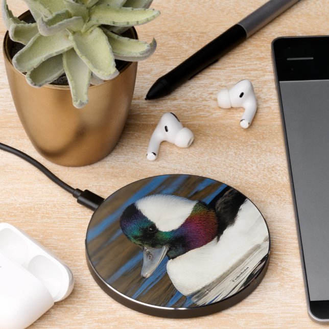 Handsome Bufflehead Duck at the Winter Pond Wireless Charger (Desk 2)
