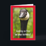 Handsome Canada Goose Funny Birthday Card<br><div class="desc">He's looking fine on his birthday,  right? Tell him how fabulous he is with this silly card. Personalize the messages and create your own fun. Photo ©Christine Greenspan</div>